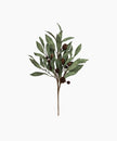 Eucalyptus & Brown Berry Wood Branch - French Country Collections