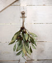 Eucalyptus & Brown Berry Wood Branch - French Country Collections