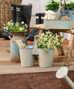 Jardin Seedling Holder-Antique Blue