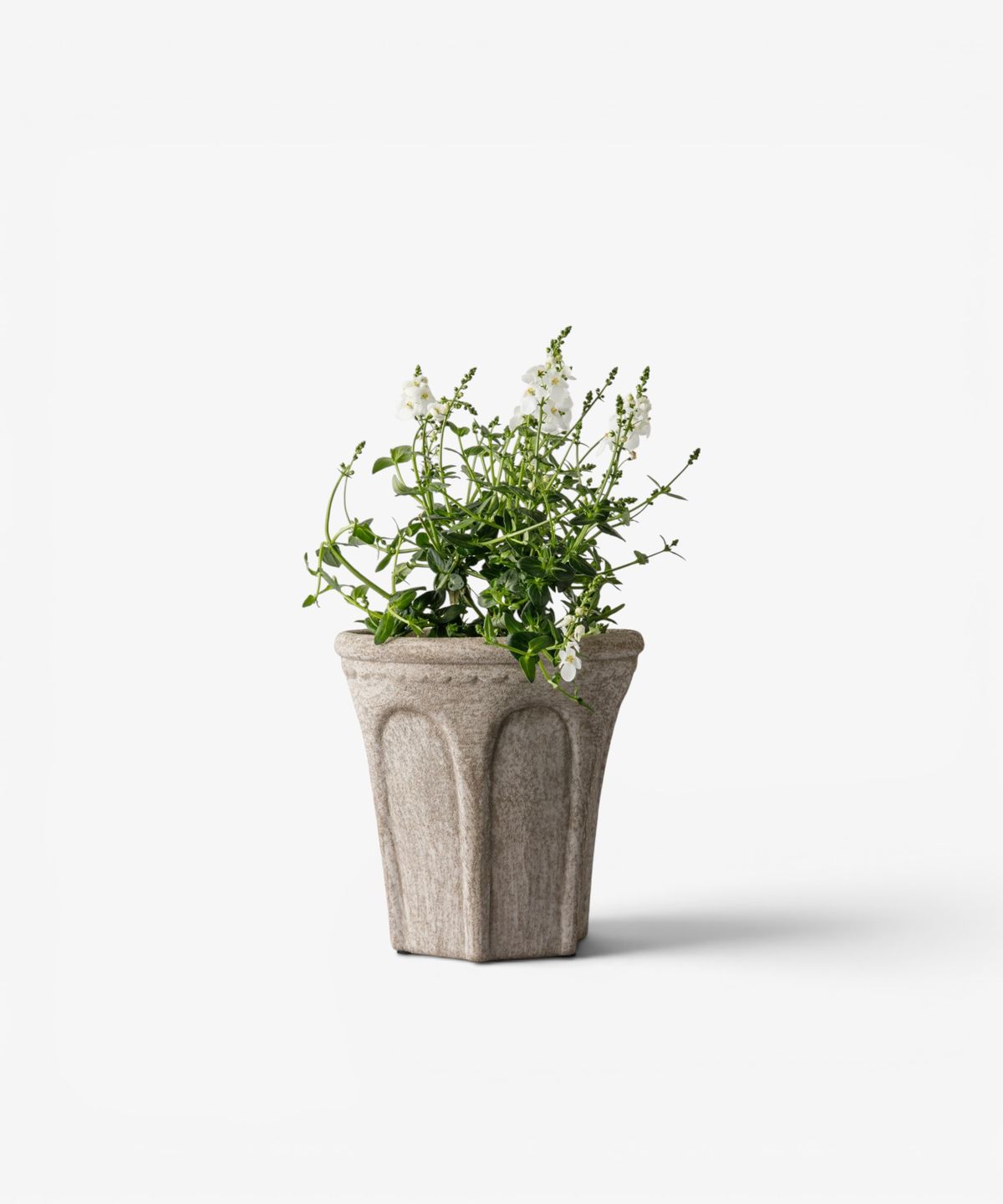 Terra Arc Planter Small in sand terracotta by French Country Collections - Villarosa Maison NZ