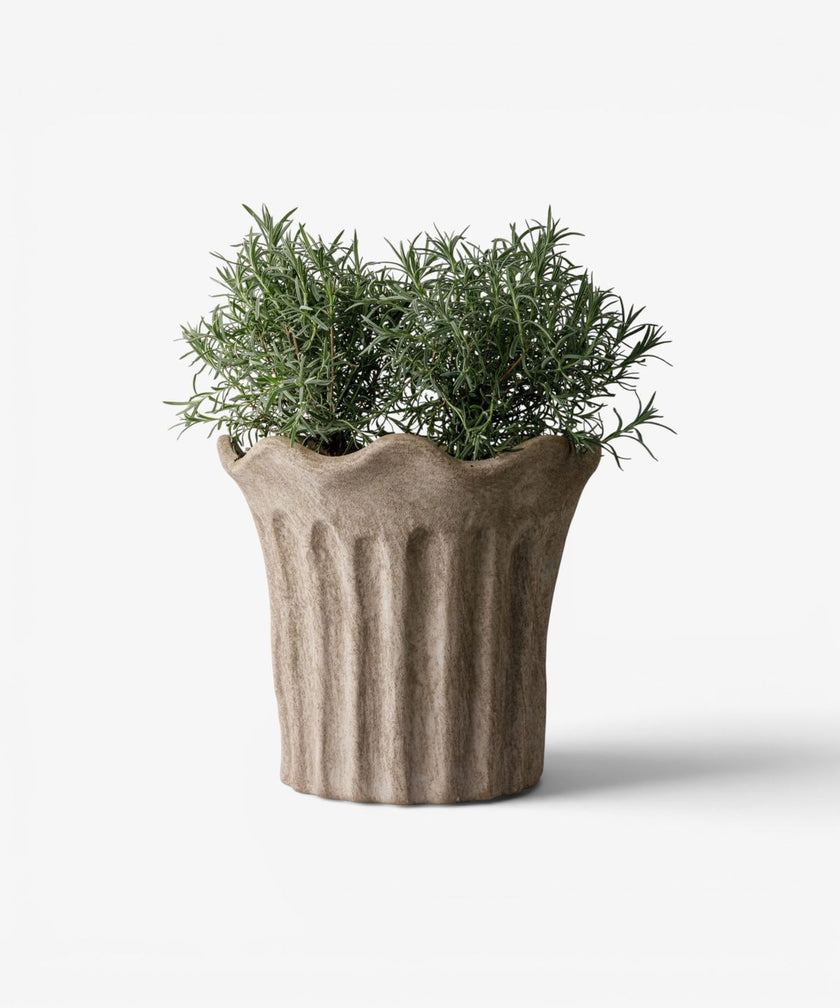 Terra Fluted Planter Large in sand terracotta by French Country Collections - Villarosa Maison NZ