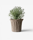 Terra Fluted Planter Medium in sand terracotta by French Country Collections - Villarosa Maison NZ