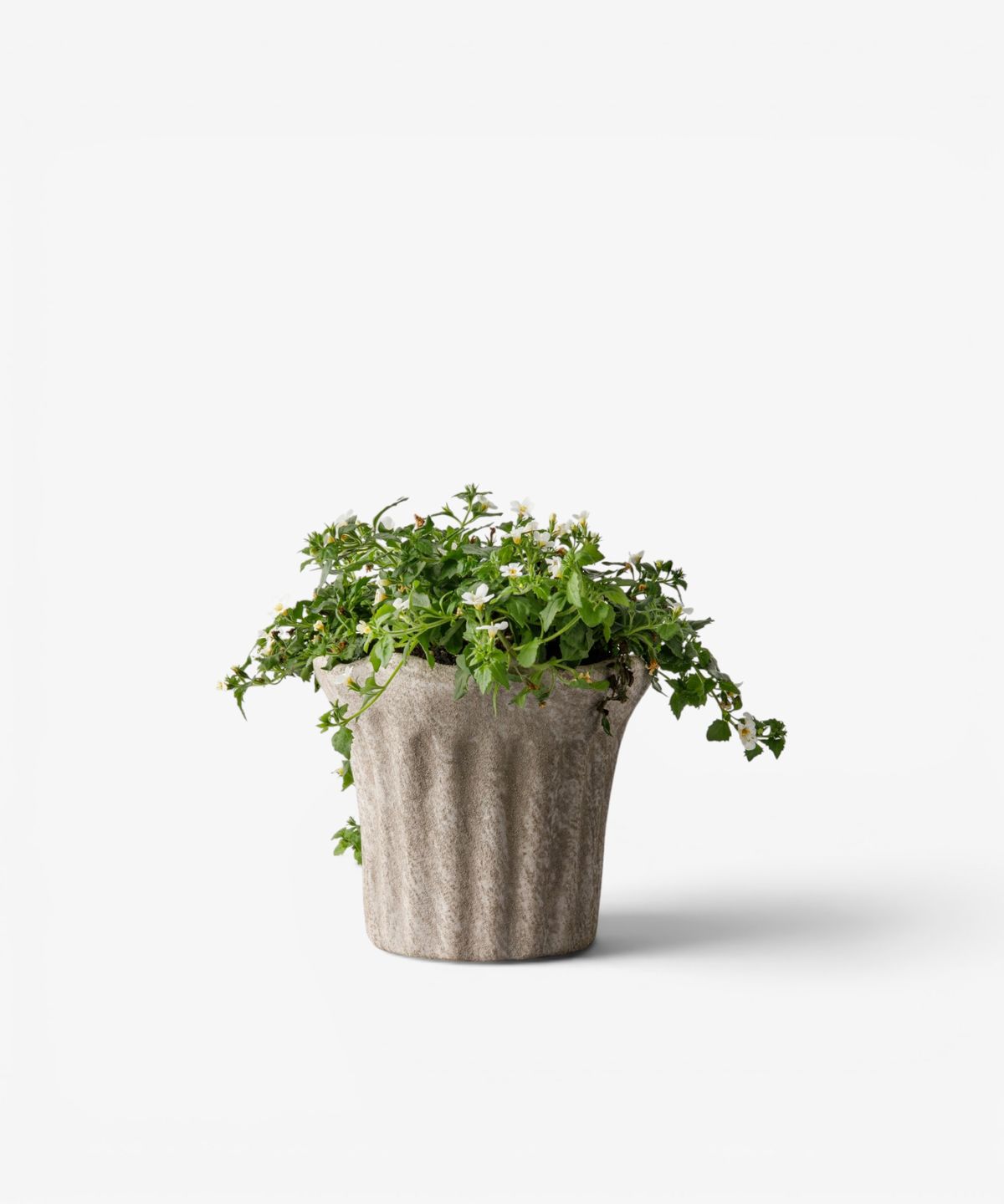 Terra Fluted Planter Small in sand terracotta by French Country Collections - Villarosa Maison NZ