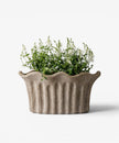 Terra Fluted Oval Planter Large in sand terracotta by French Country Collections - Villarosa Maison NZ