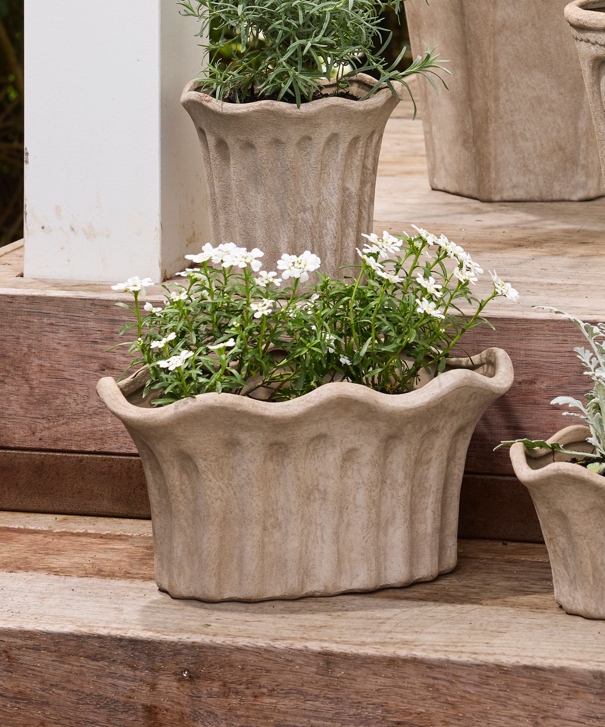 Terra Fluted Oval Planter Small in sand terracotta by French Country Collections - Villarosa Maison NZ