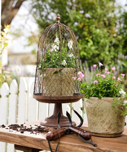 Maison Garden Dome