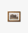 Stand Of Trees Wall Art