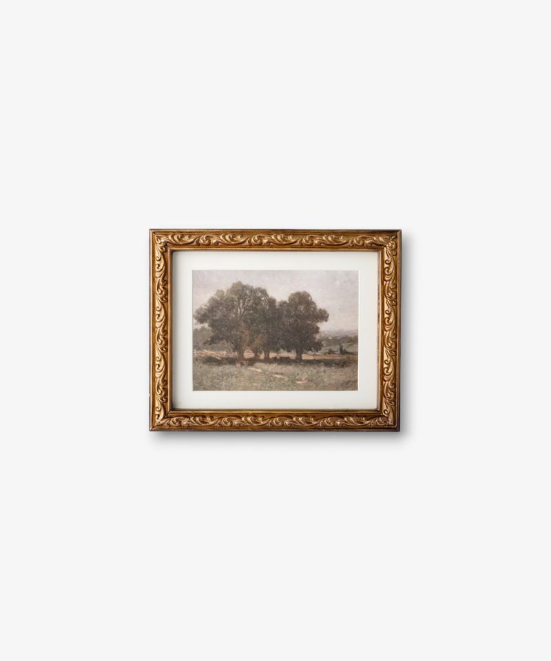 Stand Of Trees Wall Art
