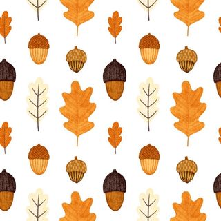 Paper + Design Paper Napkins