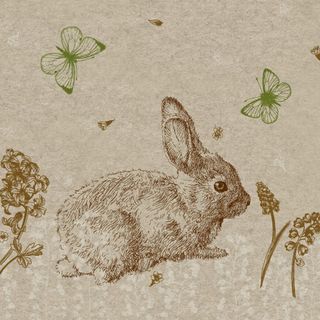 Paper + Design Paper Napkins