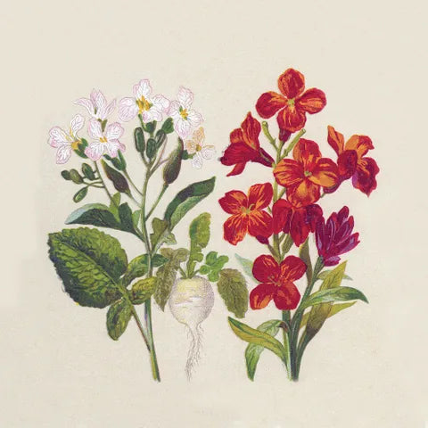 Paper + Design Paper Napkins