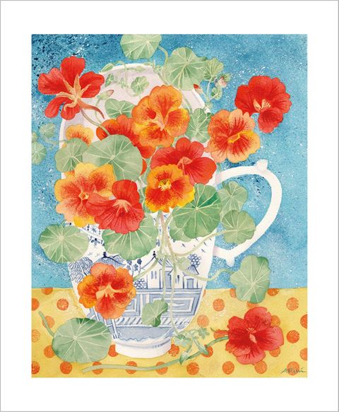 Late Summer Nasturtiums