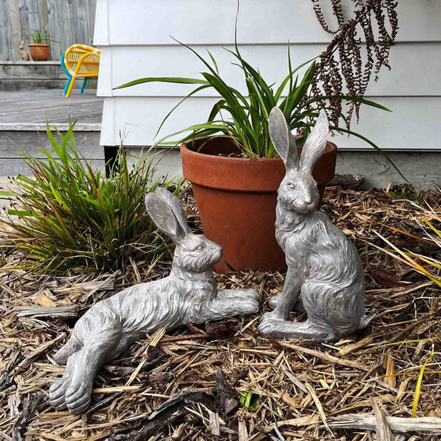 Country Hare Junior Grey-Standing or Resting