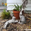 Country Hare Junior Grey-Standing or Resting
