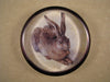 Glass Dome Paper Weight