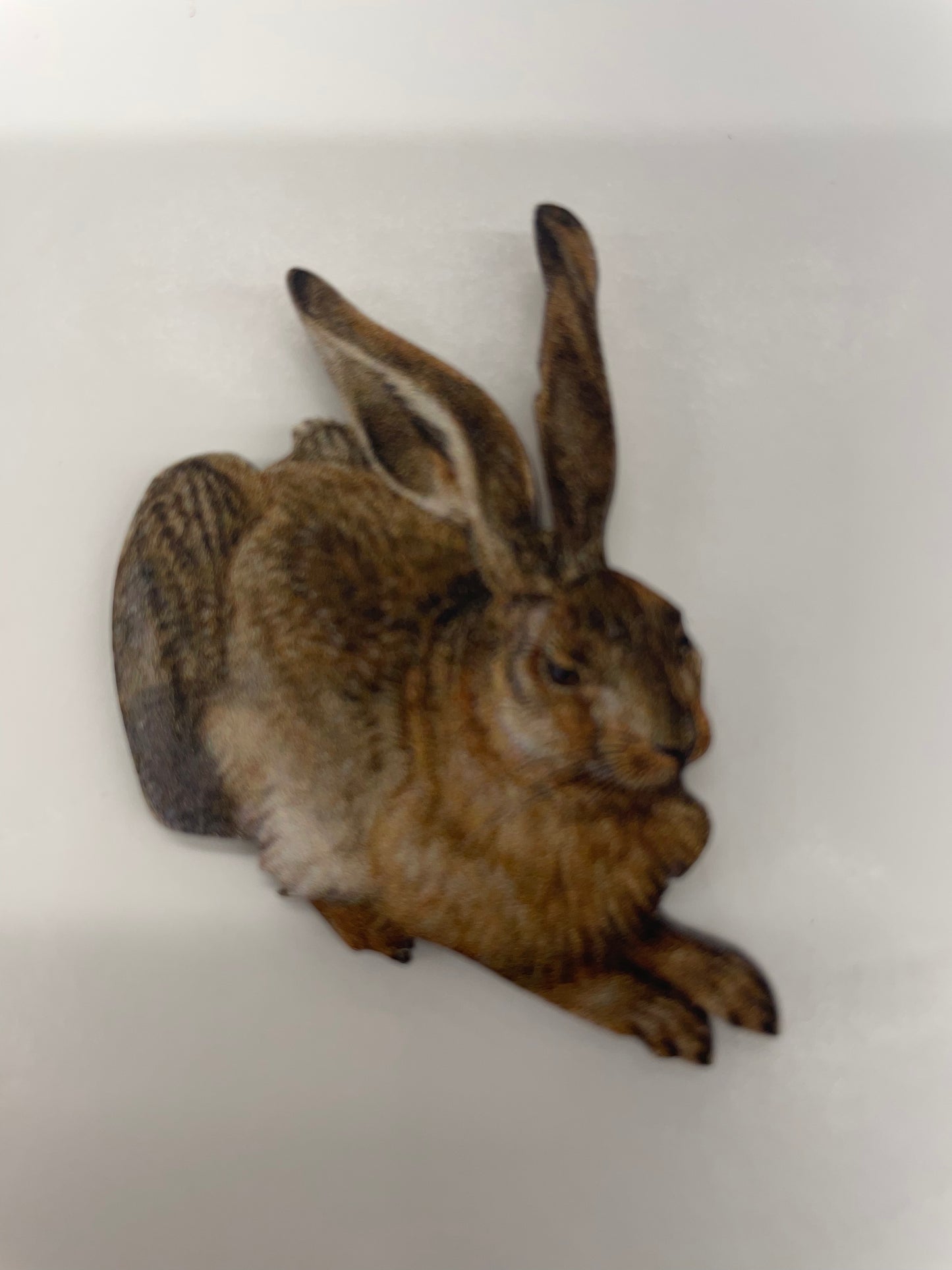 Albrecht Durer Hare Diecut Magnet