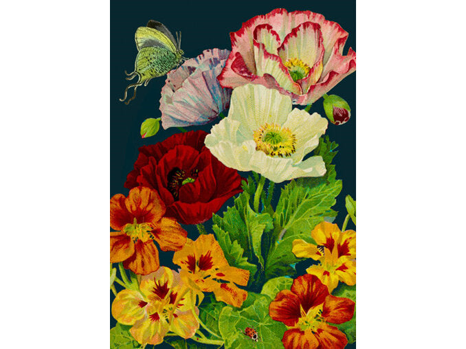 Madame Treacle Cards