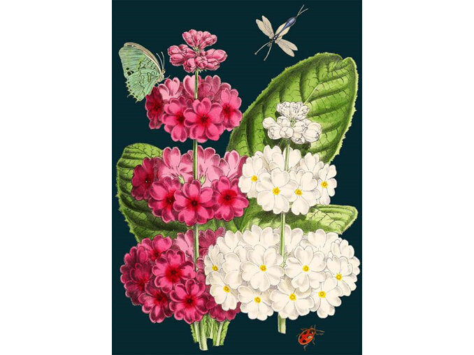 Madame Treacle Cards