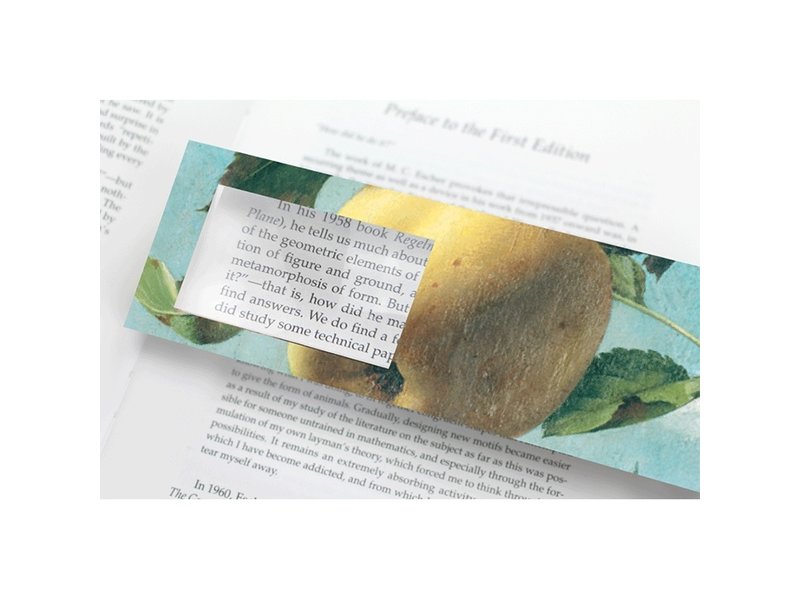 Magnifying Bookmark Various