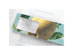 Magnifying Bookmark Various