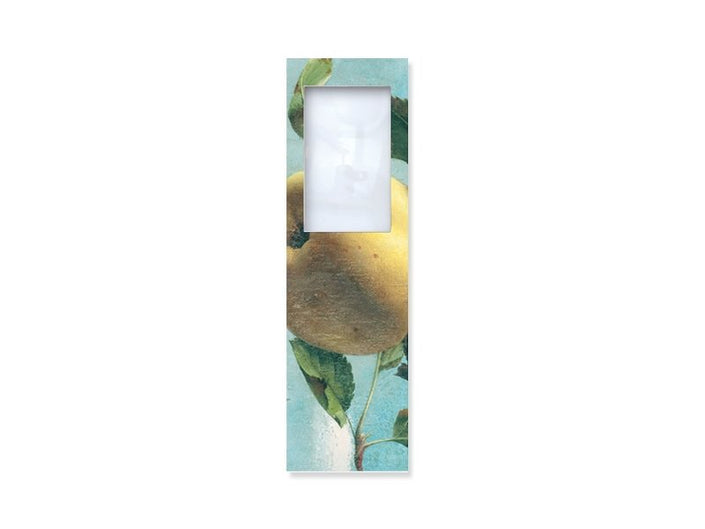 Magnifying Bookmark Various