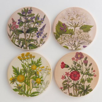 Salisbury Floral Coaster Sets