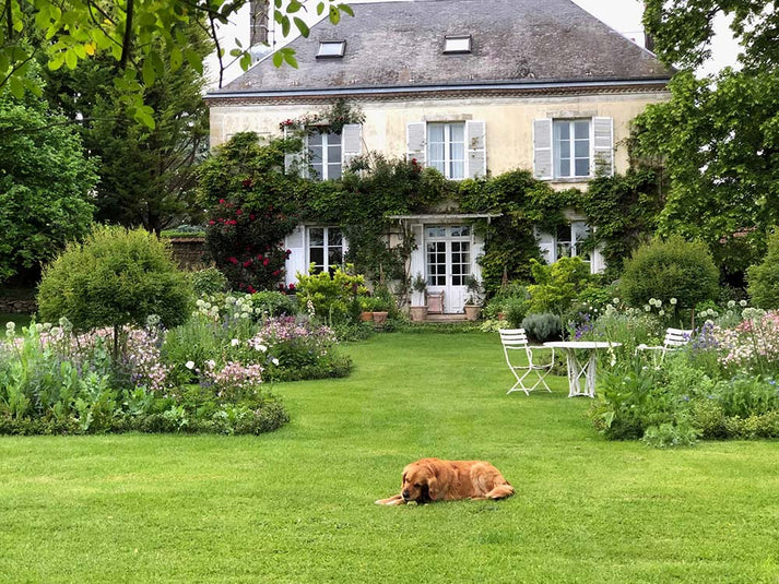 My French Country Home Magazine - January/ Febuary 2026