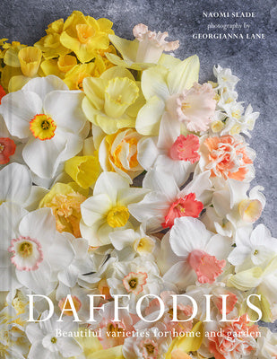 Daffodils by Naomi Slade