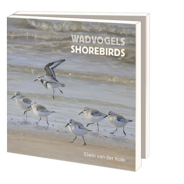 Shorebirds Notecards & Envelopes