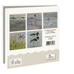 Shorebirds Notecards & Envelopes