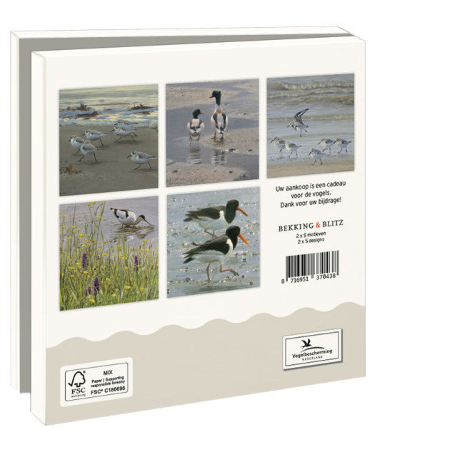 Shorebirds Notecards & Envelopes