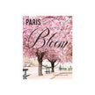 Paris In Bloom by Georgianna Lane
