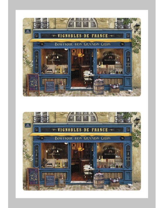 Recycled Plastic Placemats - Sets of 4