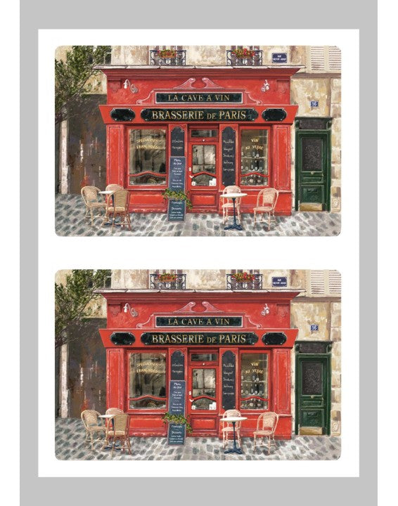 Recycled Plastic Placemats - Sets of 4