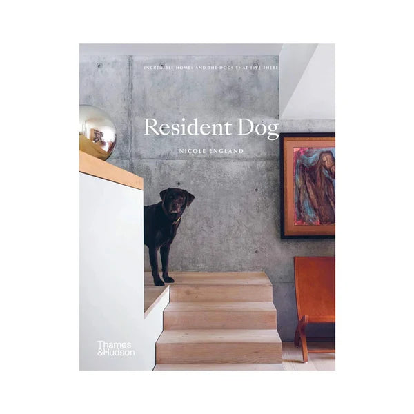 Resident Dog by Nicole England