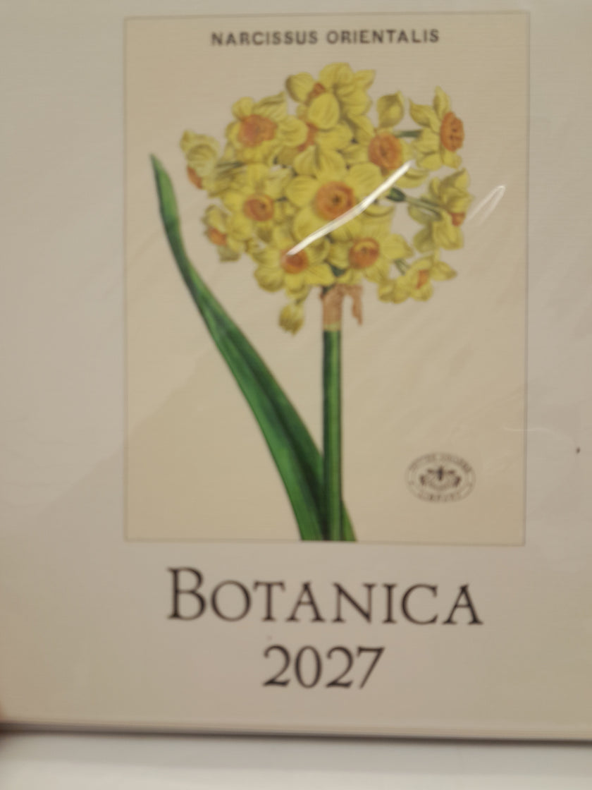Cavallini & Co Desk Calendar 2027