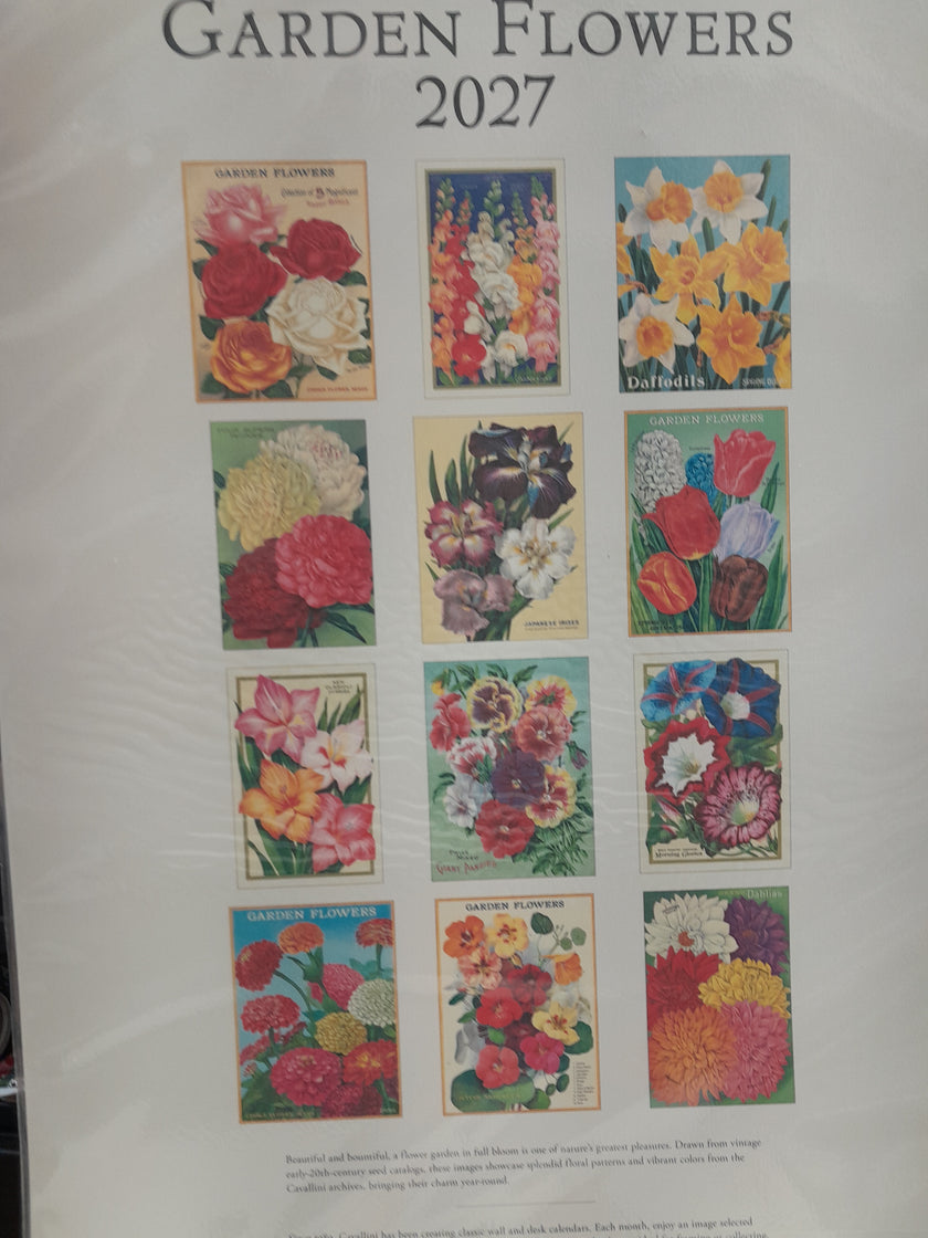 Cavallini 2027 Wall Calendar