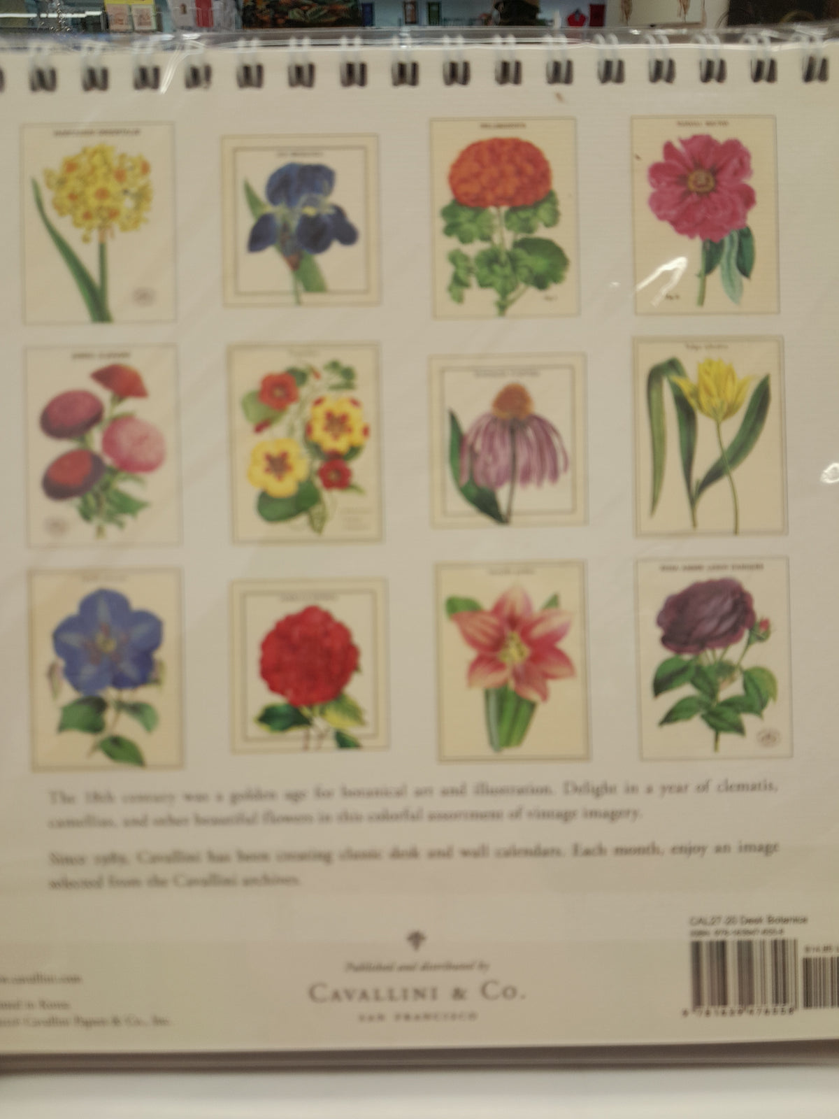 Cavallini & Co Desk Calendar 2027