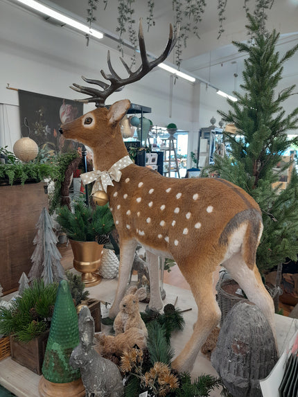 AA - Stag