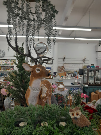 AA - Stag