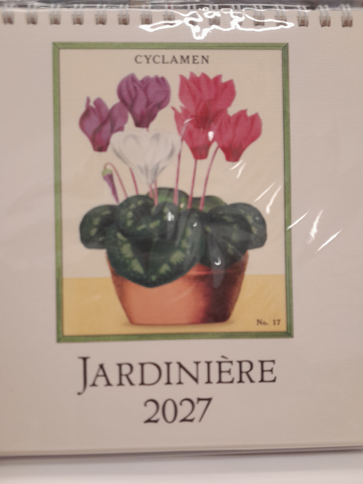 Cavallini & Co Desk Calendar 2027