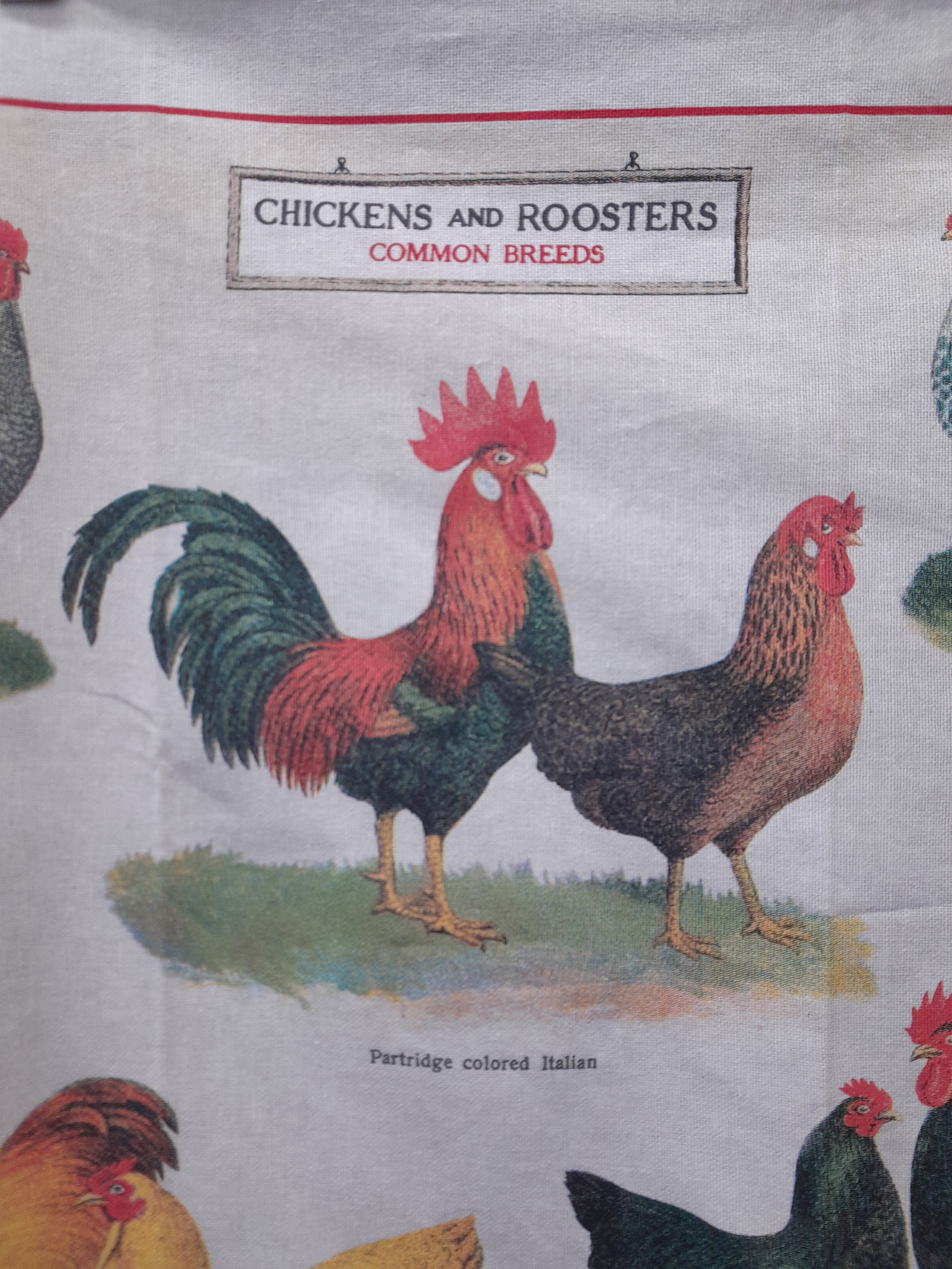Vintage Tea Towel by Cavallini & Co