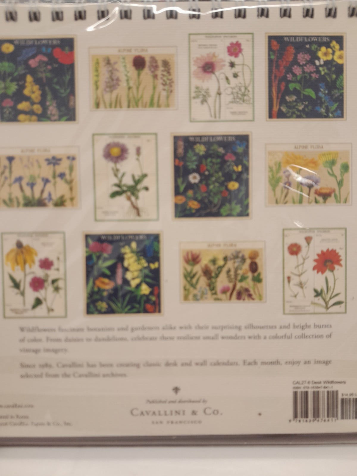 Cavallini & Co Desk Calendar 2027