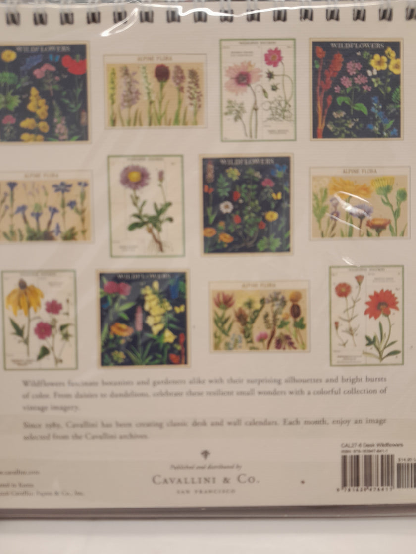 Cavallini & Co Desk Calendar 2027