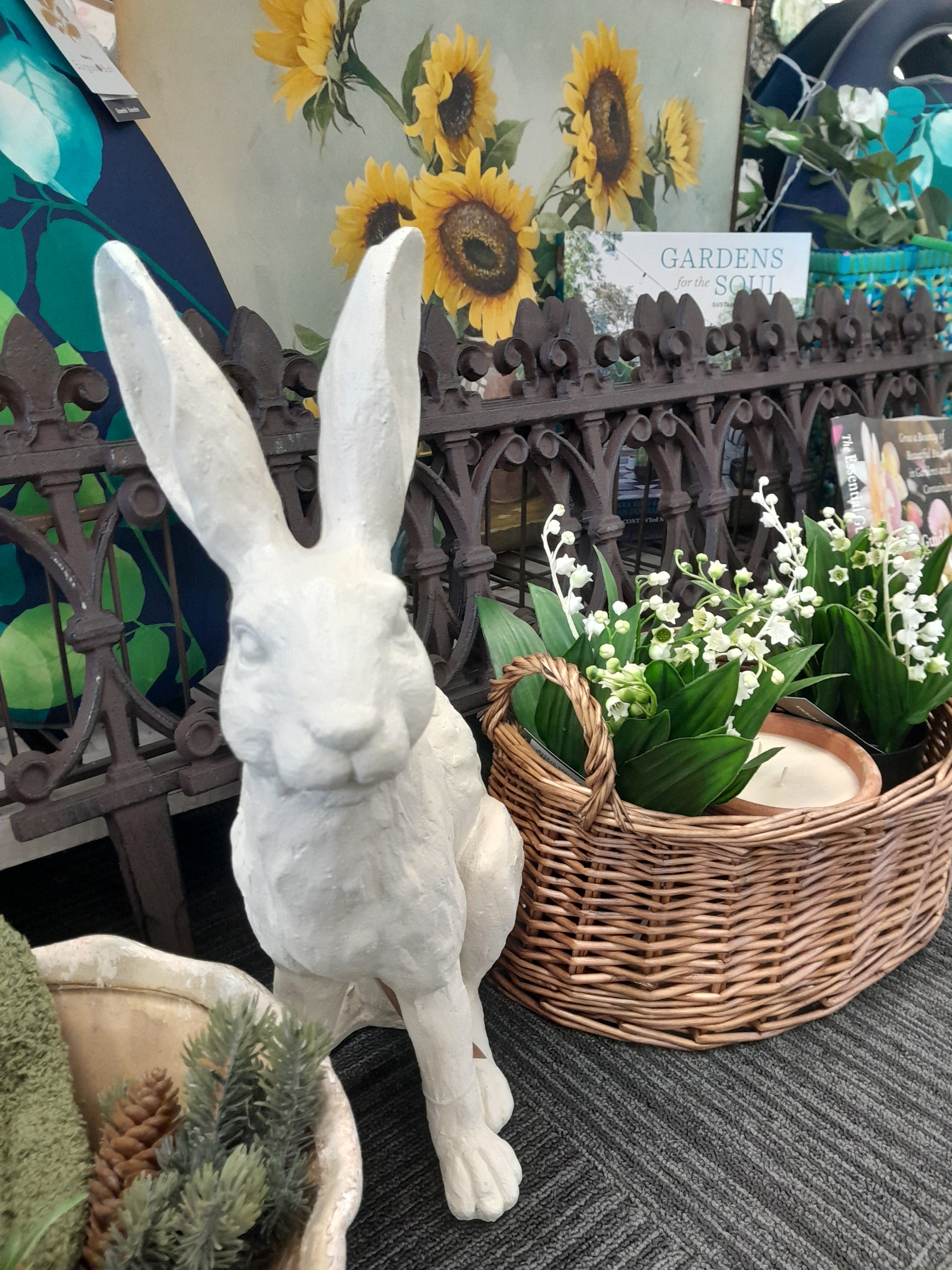 French White Rabbit