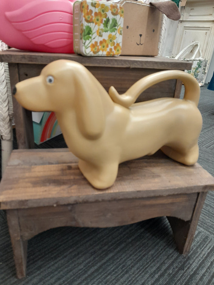 Children's Watering Can