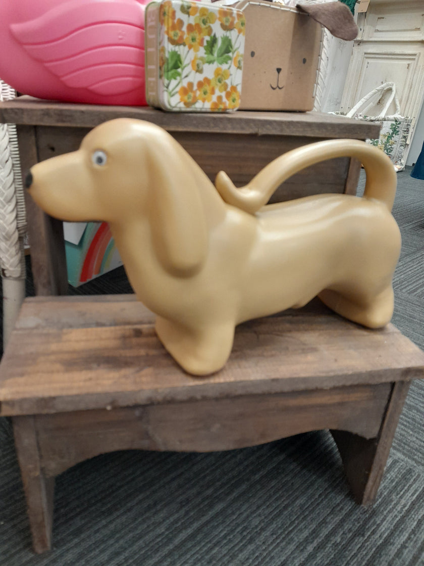 Children's Watering Can