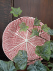 Cabbage Rose Plate 19cm-Bordallo