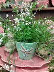 Bordallo Pinheiro Dragonfly Pot