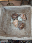 Paper Mache Pot-Rectangle